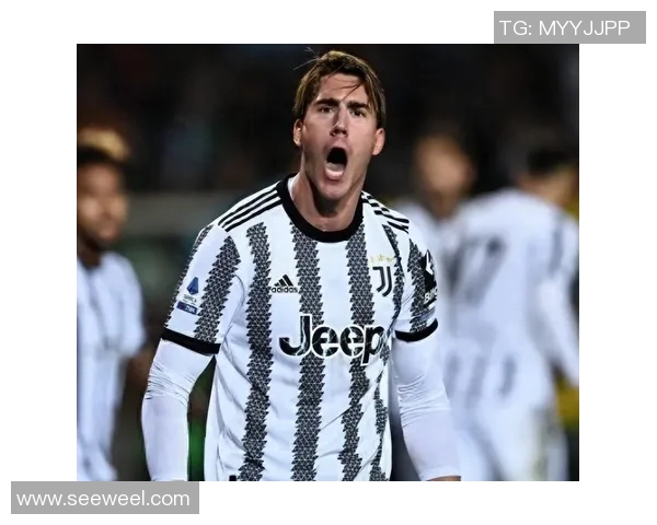 弗拉霍维奇的崛起之路：从年轻天才到足球巨星的蜕变与挑战