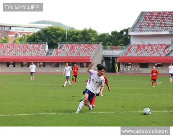 新华网贵州足球比赛直播精彩瞬间回顾与赛后分析全方位呈现精彩赛事体验