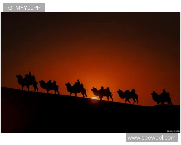 探索阿拉巴的魅力与文化底蕴，感受这片土地的独特风情与历史传承