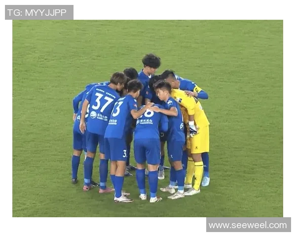 苏超联赛最新积分榜分析及各队表现评估与未来展望