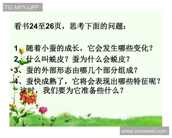 十四年与二十年之间的成长与变化探讨与反思