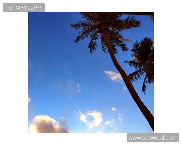 海滨风光中的3D艺术探索与创作之旅 海滨风光中的3D艺术探索与创作之旅